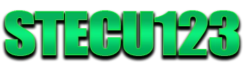 Logo Stecu123